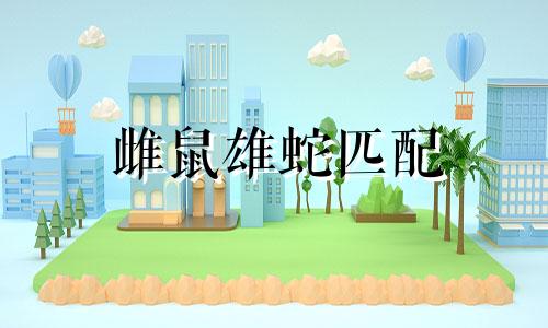 雌鼠雄蛇匹配