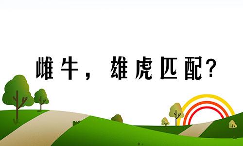 雌牛，雄虎匹配?
