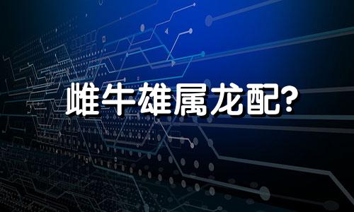 雌牛雄属龙配?
