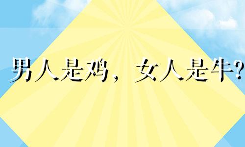 男人是鸡，女人是牛?