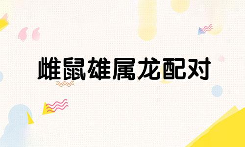 雌鼠雄属龙配对