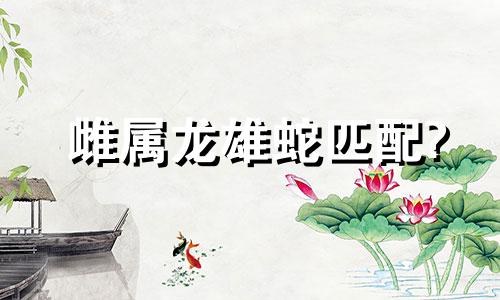 雌属龙雄蛇匹配?