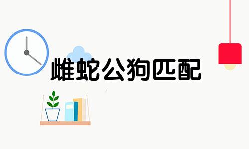 雌蛇公狗匹配