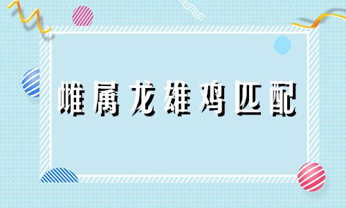 雌属龙雄鸡匹配