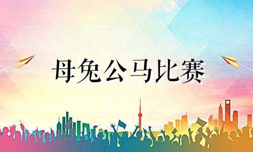 母兔公马比赛