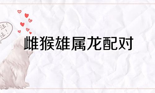 雌猴雄属龙配对