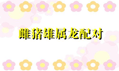 雌猪雄属龙配对