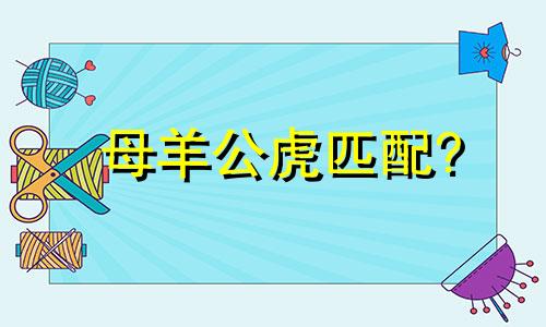 母羊公虎匹配?