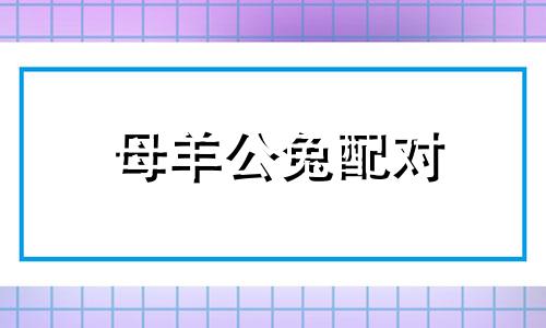 母羊公兔配对