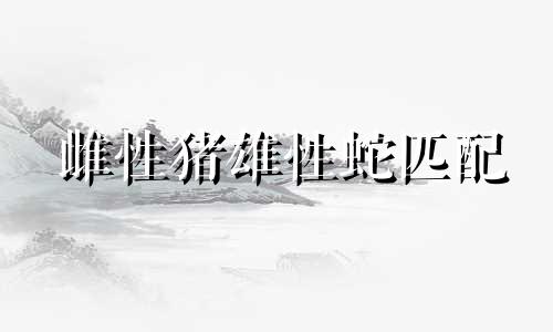 雌性猪雄性蛇匹配