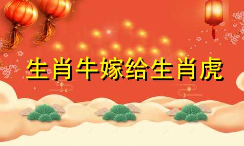 生肖牛嫁给生肖虎