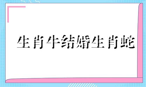 生肖牛结婚生肖蛇