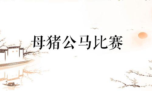 母猪公马比赛