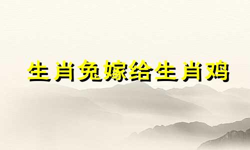 生肖兔嫁给生肖鸡