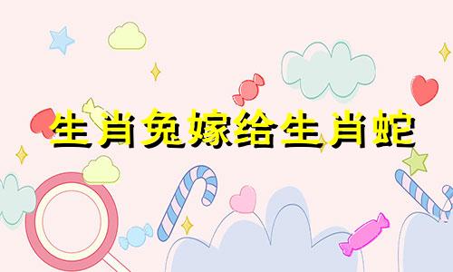 生肖兔嫁给生肖蛇