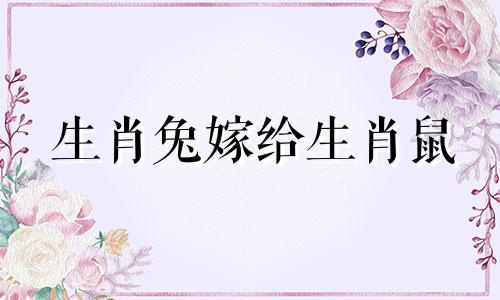 生肖兔嫁给生肖鼠