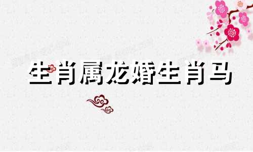 生肖属龙婚生肖马
