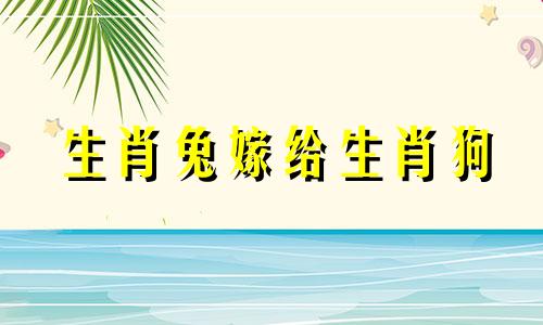 生肖兔嫁给生肖狗