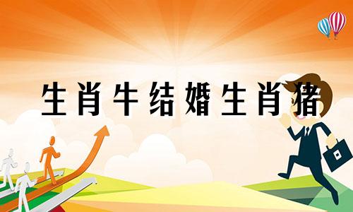 生肖牛结婚生肖猪