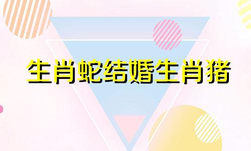 生肖蛇结婚生肖猪