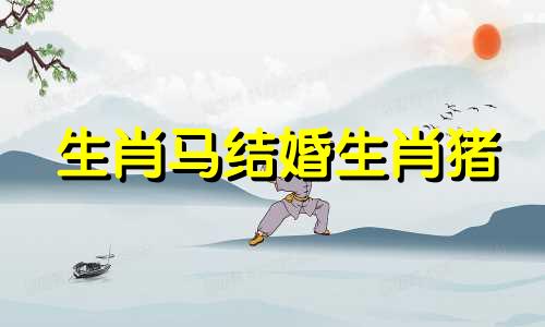 生肖马结婚生肖猪