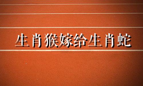 生肖猴嫁给生肖蛇