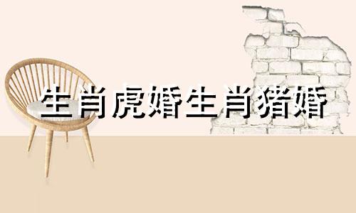 生肖虎婚生肖猪婚