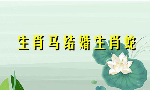 生肖马结婚生肖蛇
