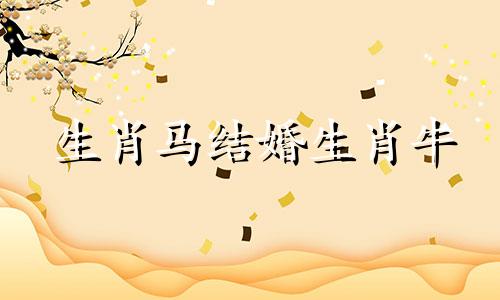 生肖马结婚生肖牛