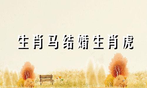 生肖马结婚生肖虎