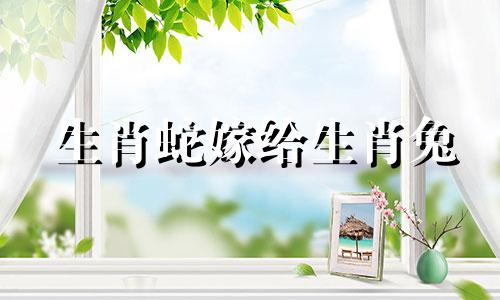 生肖蛇嫁给生肖兔