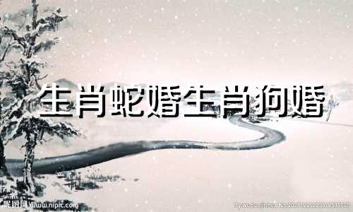生肖蛇婚生肖狗婚