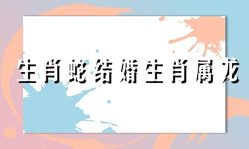 生肖蛇结婚生肖属龙