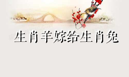 生肖羊嫁给生肖兔