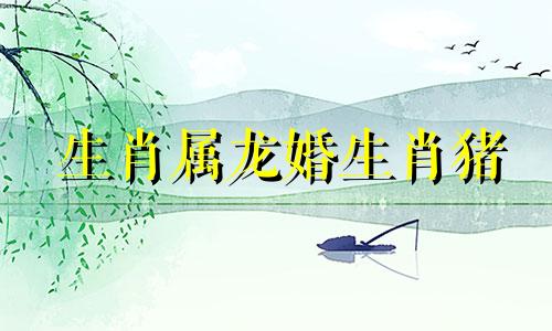 生肖属龙婚生肖猪