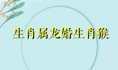 生肖属龙婚生肖猴