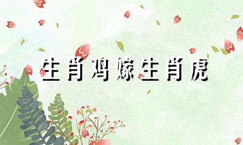 生肖鸡嫁生肖虎