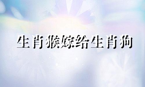 生肖猴嫁给生肖狗