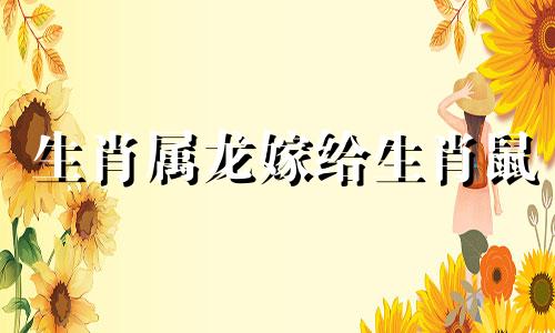 生肖属龙嫁给生肖鼠