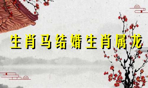 生肖马结婚生肖属龙