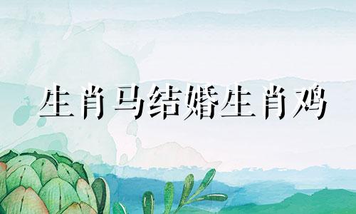 生肖马结婚生肖鸡