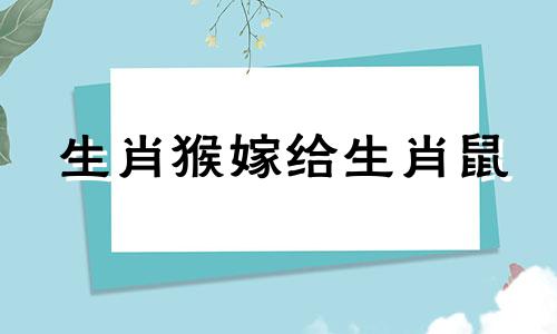 生肖猴嫁给生肖鼠