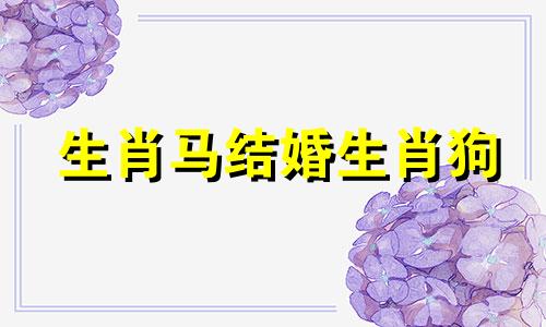 生肖马结婚生肖狗