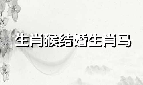 生肖猴结婚生肖马