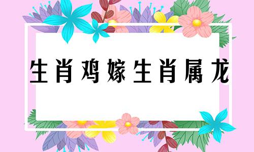 生肖鸡嫁生肖属龙