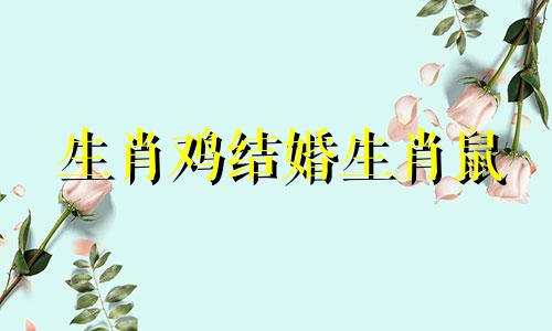 生肖鸡结婚生肖鼠