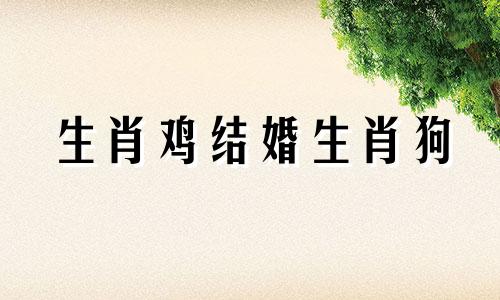 生肖鸡结婚生肖狗
