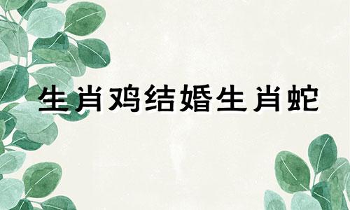 生肖鸡结婚生肖蛇