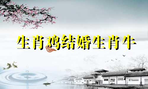 生肖鸡结婚生肖牛