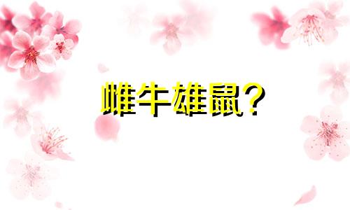 雌牛雄鼠?